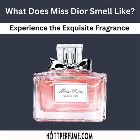 smell of miss dior|what smells like miss dior.